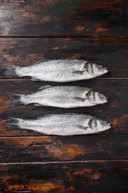 Eski balıkçı ahşap masa manzaralı koca bir deniz kabuğu.
