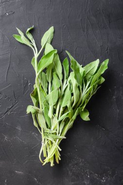 Siyah arkaplan görünümünde organik taze adaçayı