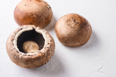 Beyaz beton arka plan görünümlü Portobello mantarları fiyat için seçici odak alanı