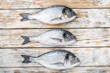 Çiğ bütün dorada veya Gilt baş balık çipura beyaz ahşap masa üstü görünümü üzerinde metin için boşluk