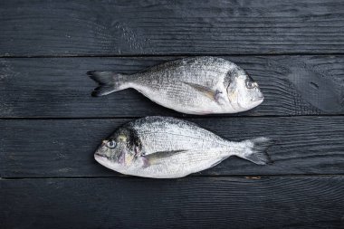Çiğ dorado veya çipura balığı ob siyah ahşap arka plan görüntüsü metin için boşluk ile