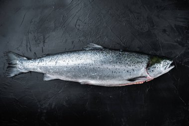 Siyah arkaplanda taze alabalık, metin için boşluk ile üst görünüm.