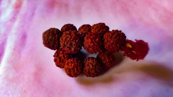 Ein Bild Von Rudraksha Girlande Auf Rosa Hintergrund — Stockfoto