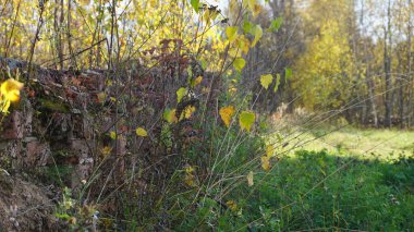 Rus köyündeki eski ortaçağ kalıntıları.