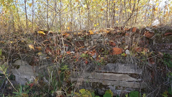 Anciennes Ruines Médiévales Mur Dans Village Russe — Photo