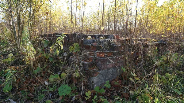 Anciennes Ruines Médiévales Mur Dans Village Russe — Photo