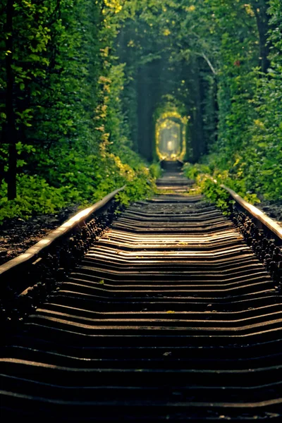 Green Tunnel Love Klevan Ukraine — Stock Photo, Image