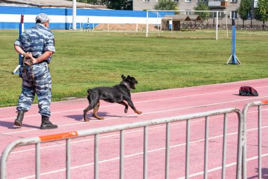 Bir polis memuru uyuşturucu, silah ve patlayıcı bulmak için bir köpeği eğitiyor..