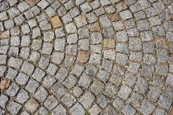 Texture Cobblestone Pavement View — Stock Photo, Image