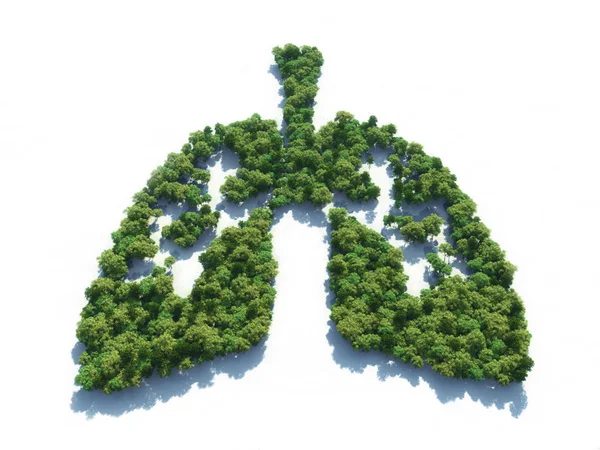 Konzeptbild Eines Waldes Form Von Lungen Illustration — Stockfoto
