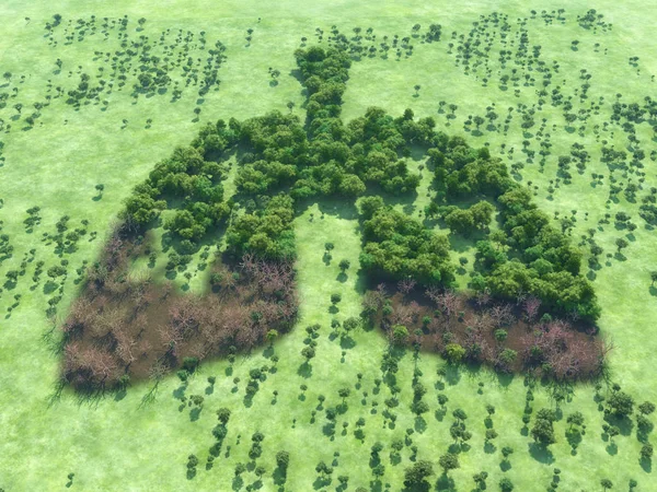 Imagem Conceitual Uma Floresta Forma Pulmões Com Trecho Floresta Seca — Fotografia de Stock