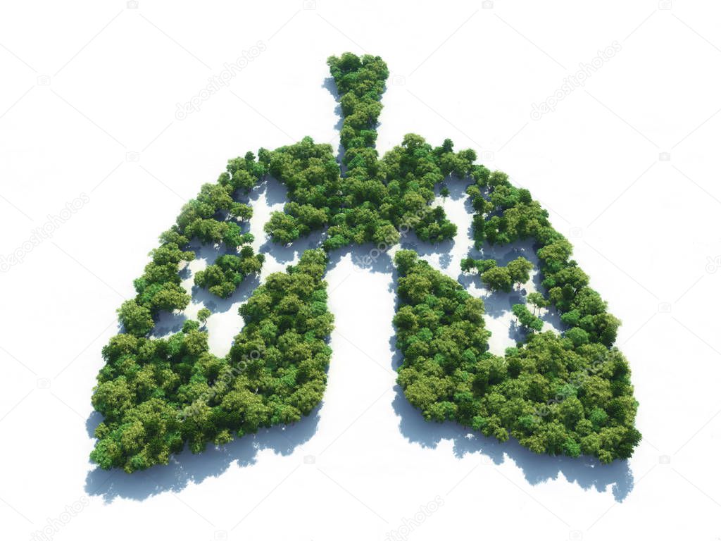 Conceptual image of a forest in shape of lungs - 3d illustration