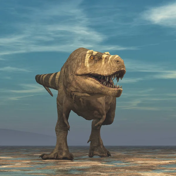 Tyrannosaurus Rex Sur Fond Blanc Illustration — Photo