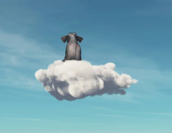 Olifant Blijft Een Wolk Dit Een Render Illustratie — Stockfoto