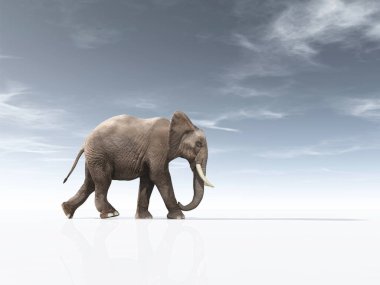 Bir Afrika fili ile kavramsal görüntü. Bu bir 3d render örnektir.