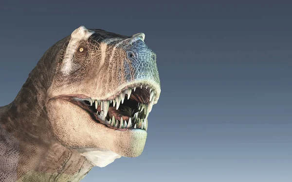 Render Dinosaurie Trex Vit Blå Bakgrund Detta Render Illustration — Stockfoto