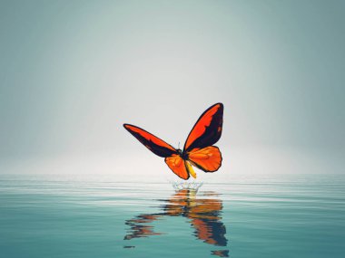 Deniz üzerinde kırmızı bir kelebek. Bu bir 3d render örnektir