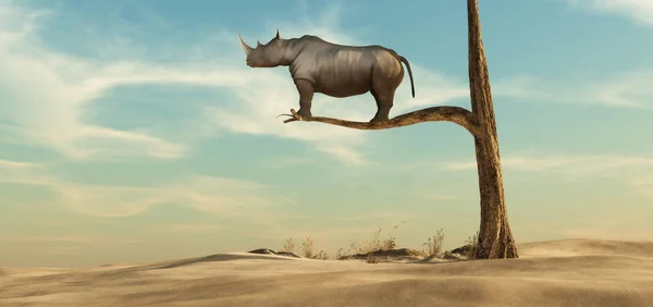 Eenzame Rhino op boom — Stockfoto