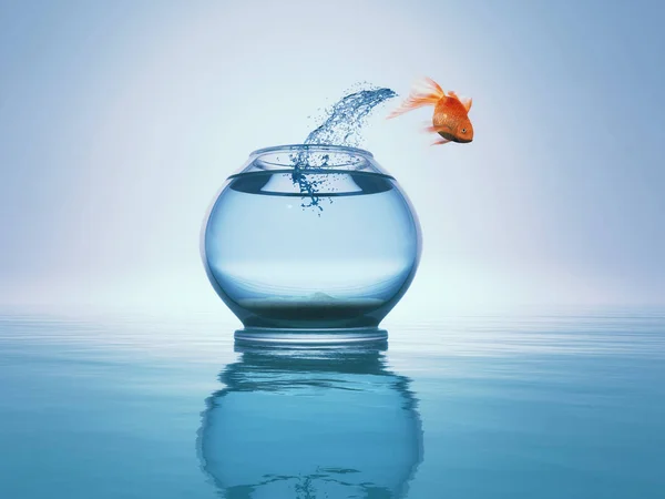 Goldfish jump to the sea — Stock Photo, Image