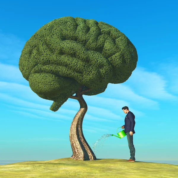 Brain shaped tree — Stock Photo, Image