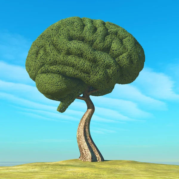 Brain shaped tree