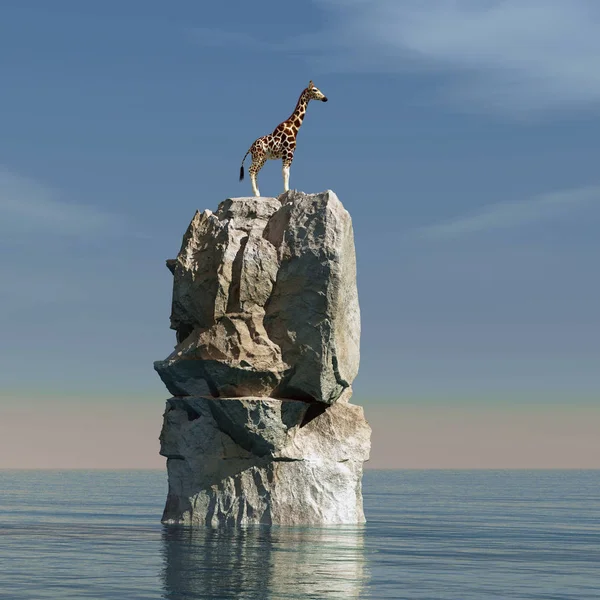 Girafe dans l'océan — Photo