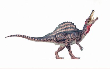 Spinosaurus beyaz arka plan