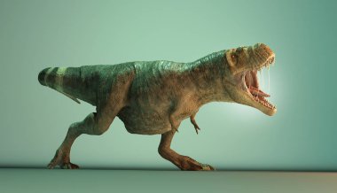 Stüdyoda T rex