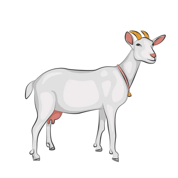 Белая коза с рогами и колокольчиком на шее — стоковое фото