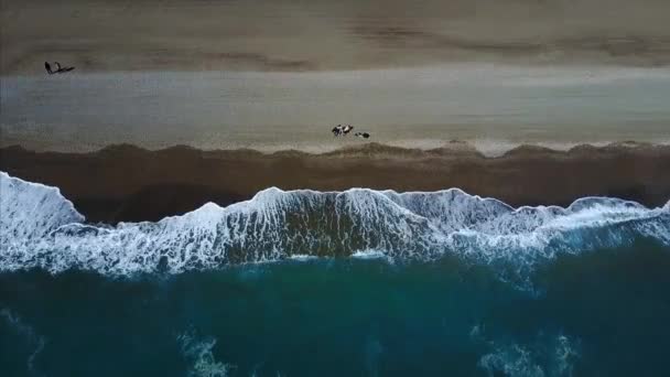 Letecké fotografie z pláže u moře — Stock video