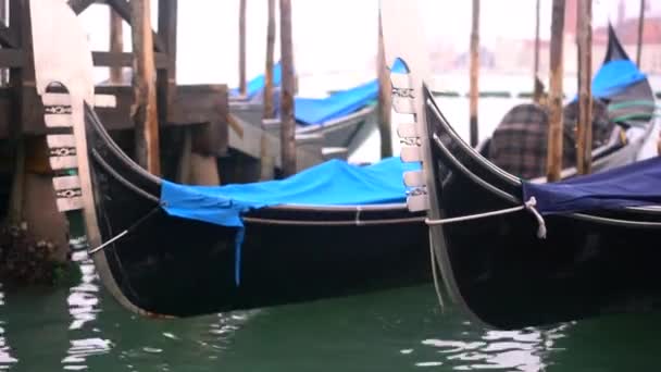 Rows of traditional wooden gondolas — Stock Video