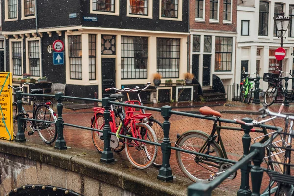 Bisiklet günü yağmur sırasında ışık.