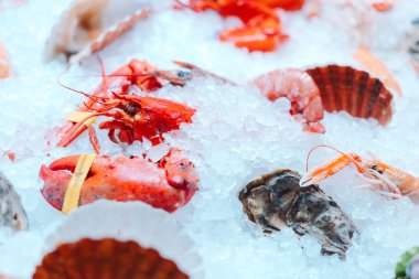 Buzlu kırmızı ıstakoz.