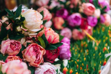 Peonies, çok yakın çekim. Herhangi bir tatil için güzel bir çiçek. Çok güzel ve romantik çiçek çiçek dükkanında.