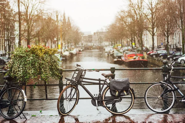 Fiets op dag licht tijdens de regen. — Stockfoto