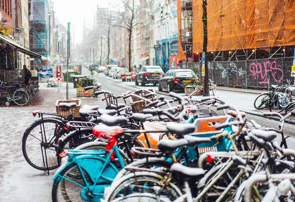 First snow of the year — Stock Photo, Image