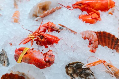 Buzlu kırmızı ıstakoz.