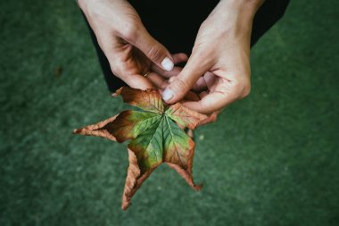 Kadın elinde güzel sarı bir yaprak tutuyor.