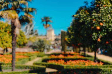 Palmiye ağaçları ile yaz bahçesi