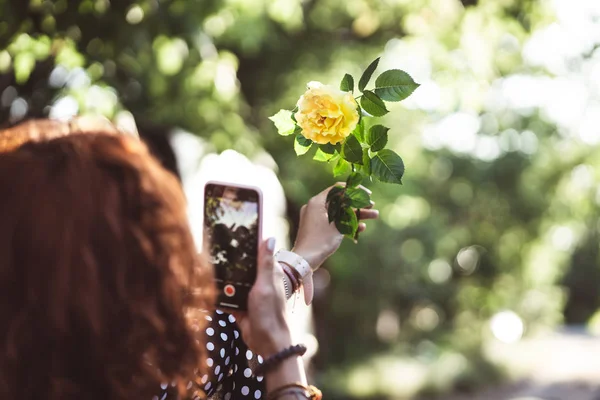 Woman photographing a yellow rose on a smartphone — Stock Photo, Image