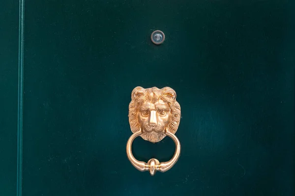 Decorativo leone dorato manopola della porta della testa, vista da vicino . — Foto Stock