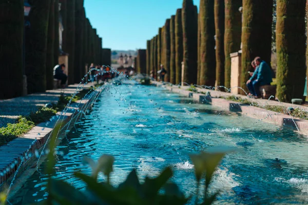 Zomer park met een fontein — Stockfoto