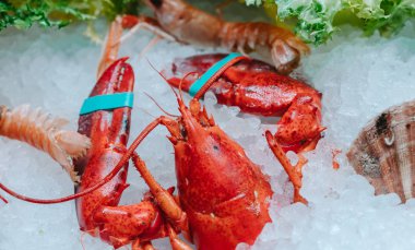 Buzlu kırmızı ıstakoz.