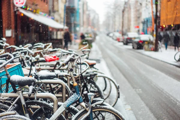 First snow of the year — Stock Photo, Image