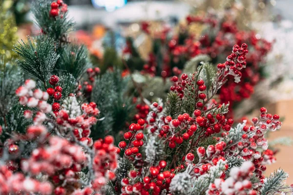 Fondo de decoración de Navidad: ramas y bayas de acebo — Foto de Stock