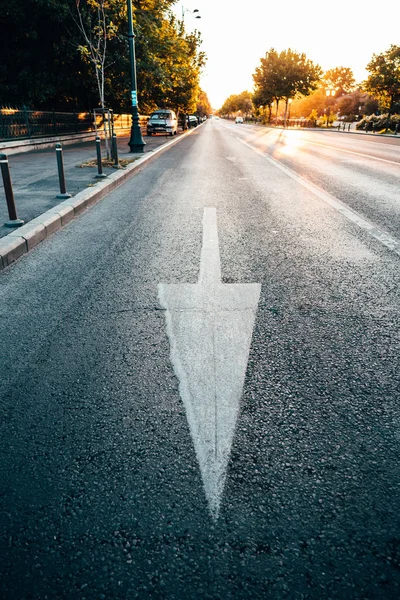 Arrow signs as road markings on a street