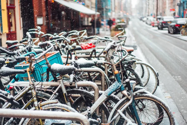 First snow of the year — Stock Photo, Image