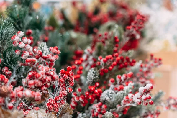 Latar belakang dekorasi Natal: cabang dan holly berry — Stok Foto