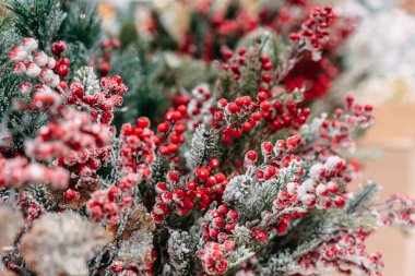 Noel dekorasyon arka plan: şube ve holly Karpuzu