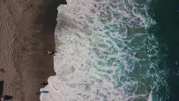 Playa con tumbonas, vista desde arriba — Vídeo de stock